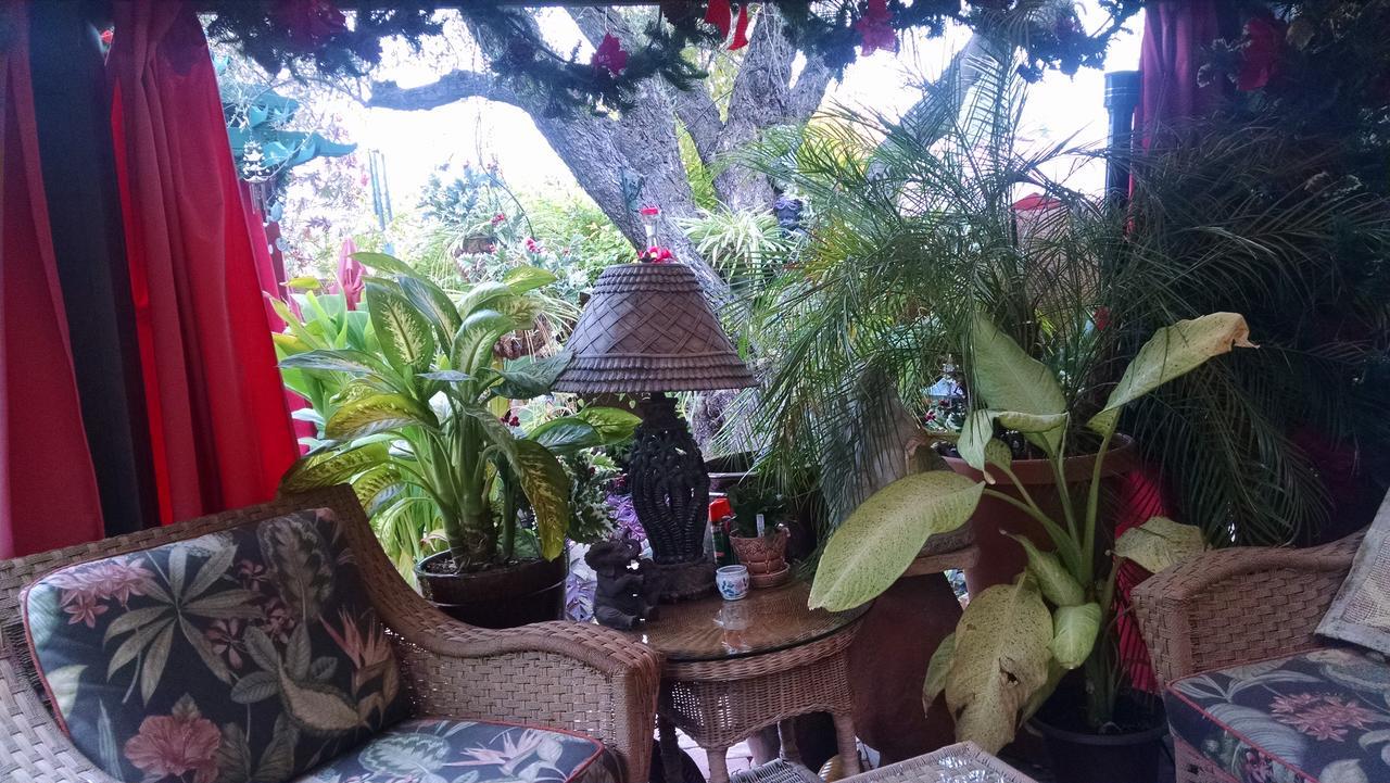 Don'S Elegante Bed & Breakfast Phoenix Exterior foto