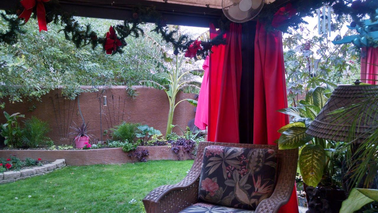 Don'S Elegante Bed & Breakfast Phoenix Exterior foto