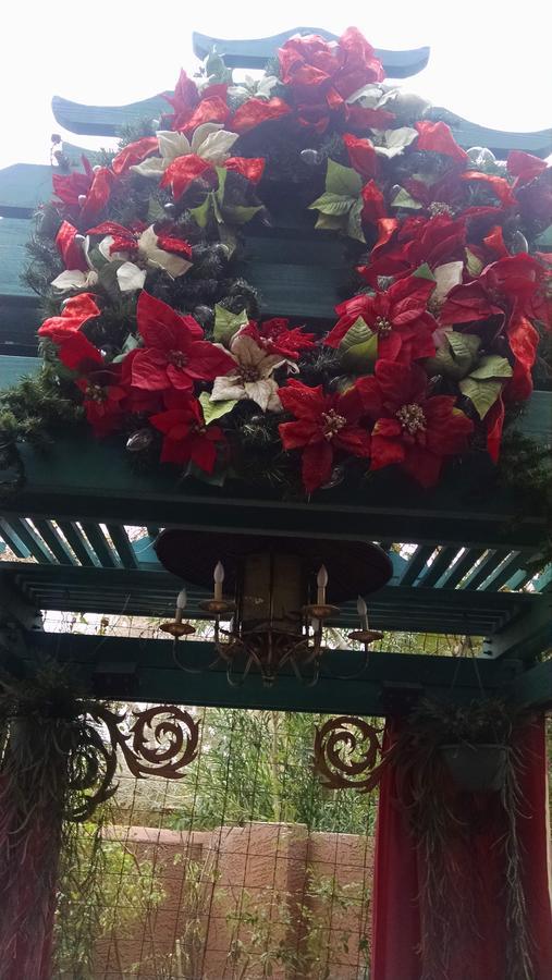 Don'S Elegante Bed & Breakfast Phoenix Exterior foto