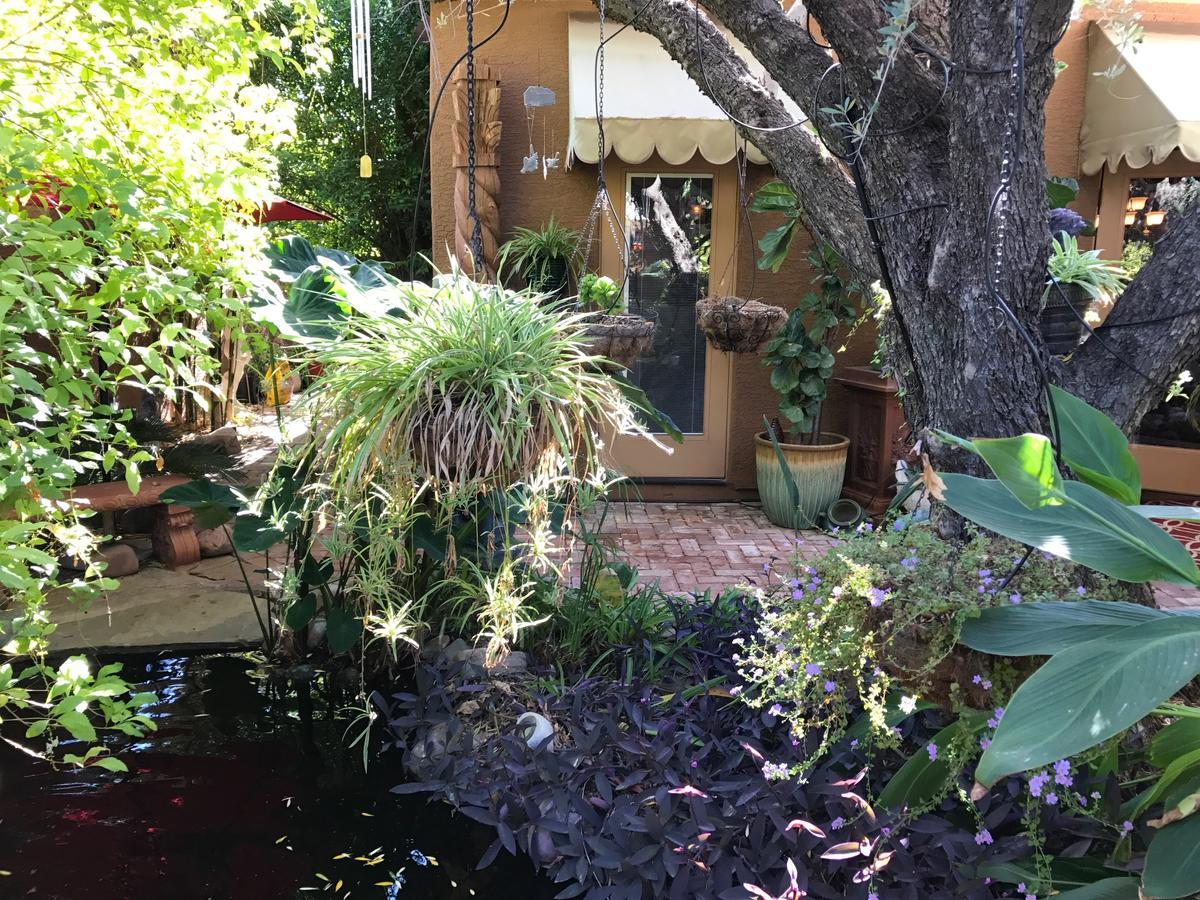 Don'S Elegante Bed & Breakfast Phoenix Exterior foto
